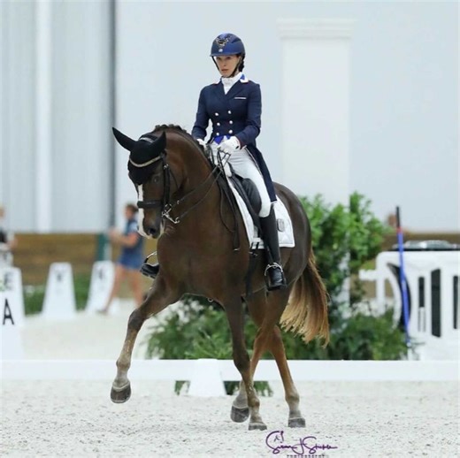 USEF Second Level Test 1 - O, AA, J/Y - CDI3* World Equestrian Center – Ocala May Dressage - 2025 | Videos, Live Streams, Films and Shows | ClipMyHorse.TV