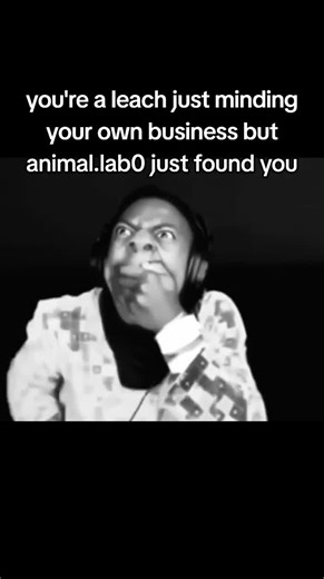 @Animal Lab #funny #lowk #ihateleaches #ishowleach #asmr? | leech in bleach