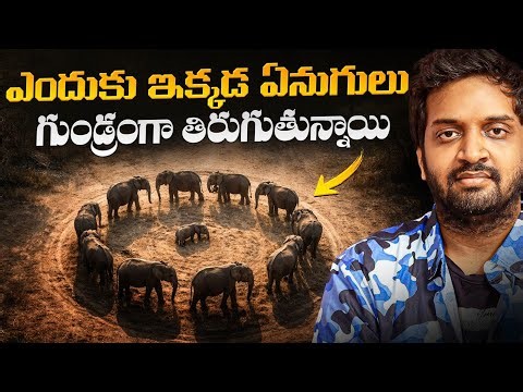 Why These Elephants Are Behaving Strangely? | Shocking Truth Explained