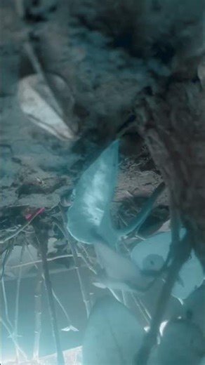 #song Fun with Shivangi