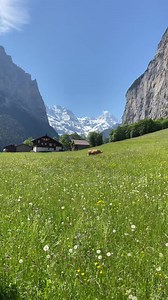 #swiss #alpes #lauterbrunnen #hiking #nature | Switzerland