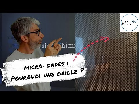 A quoi sert la grille sur la porte des fours à micro-ondes ?