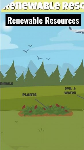 What are Renewable Resources? | Clean Energy