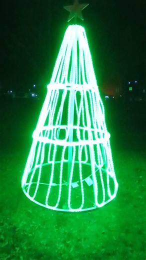 Pretty Tree Coloured Lighted Trees.