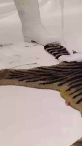 Unbelievable Cleaning of Tiger Print Carpet with Fierce Eyes