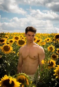 Sunflower | Audience Reviews