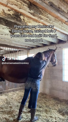 Monk deserves the Kentucky Derby horse treatment and he gets it. 🙏🏻 #kentuckyderby #equestrian #horsetok #equine #stable #horses #ottb #thoroughbred #offtrackthoroughbred #retiredracehorse #kyderby #wisconsin #barn