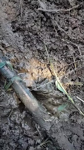 Effective Methods to Repair Drip Tube Leaks