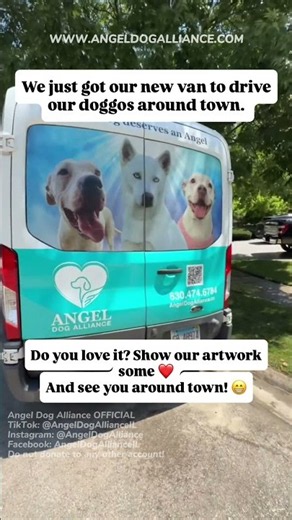 We wrapped our rescue van in our cutest adoptive dogs! 🚐🐶✨ #shorts