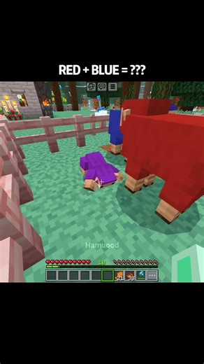 Minecraft Sheep Color Moment
