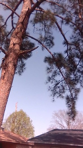 Caught another drone just flying over. Look up more as you never know what you may see @highlight.... #ShawTimeSupports #Drones #Louisiana #Sky | Sam Shaw