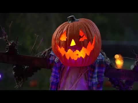 Magic of the Jack O'Lanterns