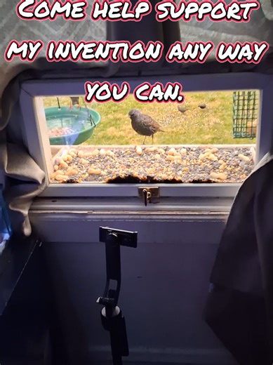 Trying to rebuild after a fire to continue making this awesome idea for you #fyp #firevideo #firevictims #animal #destiny