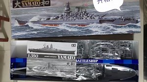 田宫78030 1:350 萌新请指教～