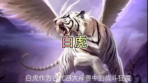 关于四大神兽之——白虎，你所不知道的事