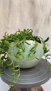 Large Mint Green Ceramic Planter With Drainage Hole and Saucer | Round Egg Shape Vase - Etsy