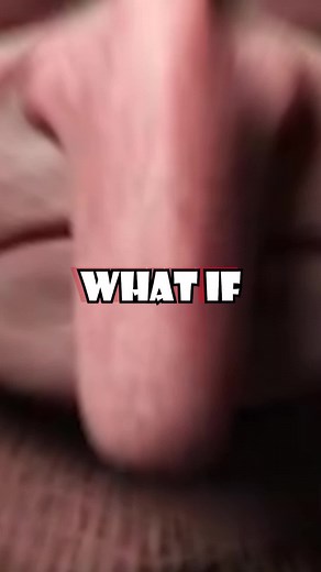 Unbelievable Real Size of Minecraft Mobs Revealed! PT. 2