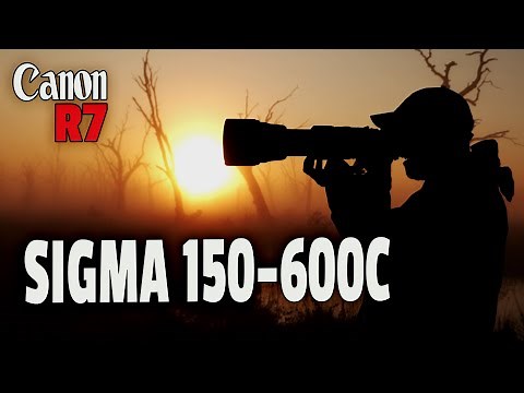 Sigma 150-600mm + Canon R7 = Amazing Combo, But....
