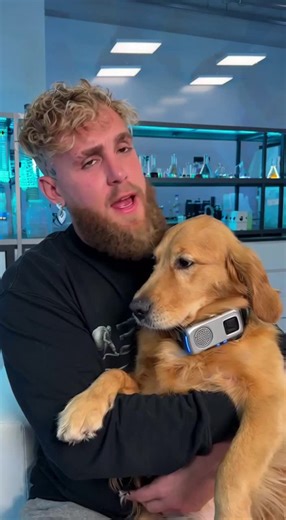 Jake Paul Introduces Dog Bark Translator Collar
