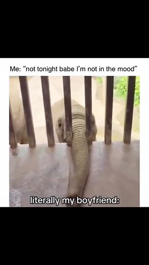 Dirty Memes on Instagram: "Relatable Follow me (@dirtyfam) for more! #humor #reels #funny #dirty #dirtyminds #dirtyreels #dirtymemes #memes #dirtyjokes #dirtyhumor"