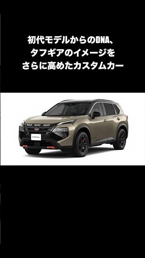 [X-TRAIL] Multi-bed, is this equipment good or not?