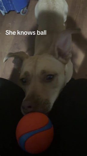 #shugar #ball #fyp #viral #foryoupage child her an this damn ball