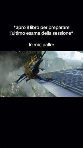 memini unimi on Instagram: "succede #unilife #università #milano #unimi #avatar"