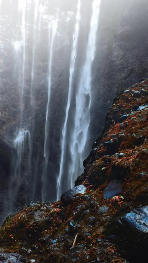 Iphone Color Grading Tutorial: Tips & Tricks