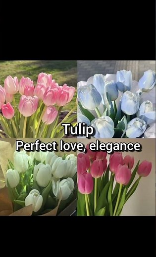 The meanings of these flowers! #viral #aesthetic #flowers #nature #beauty #meanings