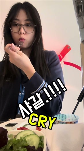 승무원에게 봄방학이란… 풀부킹에 딜레이에 수면부족 Spring break as a flight attendant… #승무원 #미국승무원