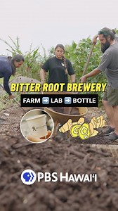On this #NationalBeerDay, learn how a lab project at the University of Hawaiʻi at Mānoa turned into a beer business. It’s a way to share with their community and to also stay in Hawaiʻi. “As a science grad in Hawaiʻi, it’s hard to find jobs. That was kind of like our immediate concern. How do we give ourselves a job after graduating?” LEARN MORE: https://www.pbshawaii.org/how-a-lab-project-turned-into-a-beer-business/ | PBS Hawai‘i