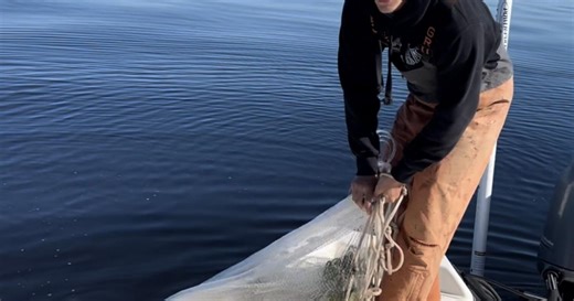 Charlotte Harbor boat crash leaves 1 dead