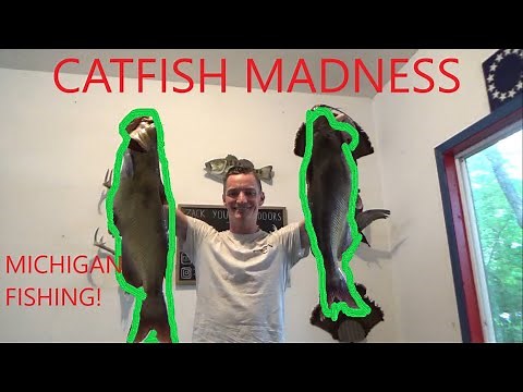 4 Catfish in 10 Minutes (Michigan Catfish)