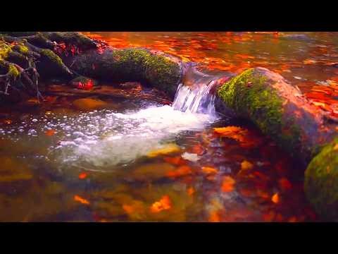 Gentle Waterfall 💦 no ads stress relief relaxation water sound healing spirit body