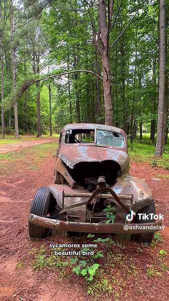 Historic Occoneechee Speedway: A NASCAR Legacy