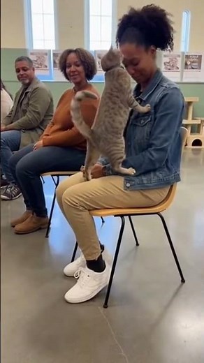 When Cats Choose Their Humans- Adoption Moments