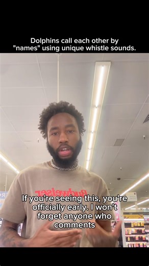 Dolphins call each other by "names" using unique whistle sounds.