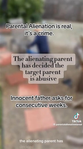 The Fathers' Rights Movement on Reels