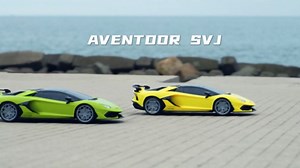 Lamborghini Remote Control Car, 1:24 Scale Electric Sport Racing Hobby Toy Car Lamborghini Model Vehicle for Boys Girls Birthday Gifts, Yellow