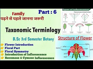Flower Terminology introduction Symmetry Inflorescence Racemose Cymose BSc 3rdSemester‪@UmeshBiology‬
