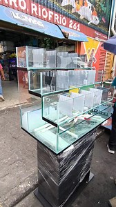 Super betterra con acuarios Nico y Mario blogs y | Marioblogs bettas y peces