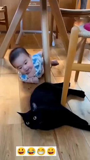 Playful Kids and Cats Interaction in Home Settings