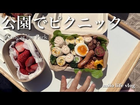 公園でピクニック｜お弁当作りからの休日Vlog