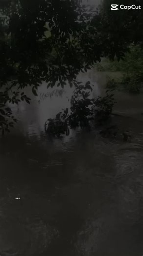 Video của Sans error 404 (@tuyenphu115) với bản nhạc nhạc nền - 💛❤️🐉 Văn chung 123 🐉🩵💙