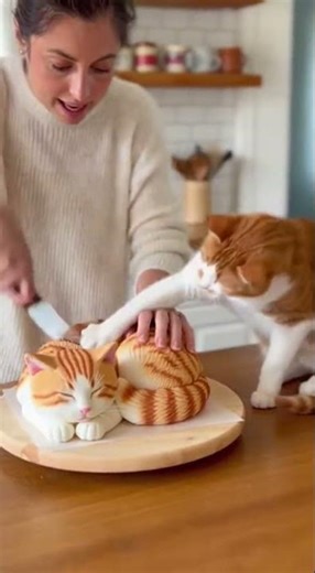 Dog Thinks She’s Cutting a Real Cat… Then This Happens! 😱🐶🎂