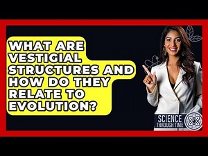 What Are Vestigial Structures And How Do They Relate To Evolution? - Science Through Time