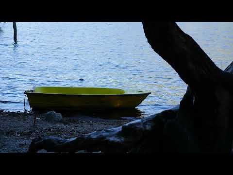 WAVE Sounds at the Lake, Waves Lapping at Lakeside, Water Sounds for Sleep, Relaxing, Studying, PTSD