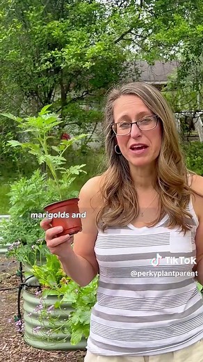 LEARN FROM MY MISTAKES⤵️ Repeat after me, don’t just plant fruits and veggies. All plants have friends that help them out, these are called companion plants. They help by attracting beneficial bugs that deal with the bad bugs attacking your veggies. Some companion plants have a very strong sent that can also deter pests. By planting this way, you help avoid the mistake of losing your harvest to bugs. My first year gardening I planted over 100 green beans and the pests ended up getting most of th