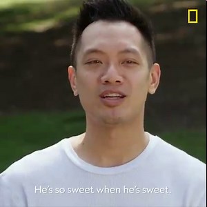 Ducky is a TikTok-famous Yorkie Maltese mix who has some very aggressive tendencies in his miniature frame. Cesar Millan: Better Human Better Dog premieres tonight at 9/8c on National Geographic. | National Geographic TV