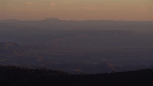 Chris Thompson on Reels